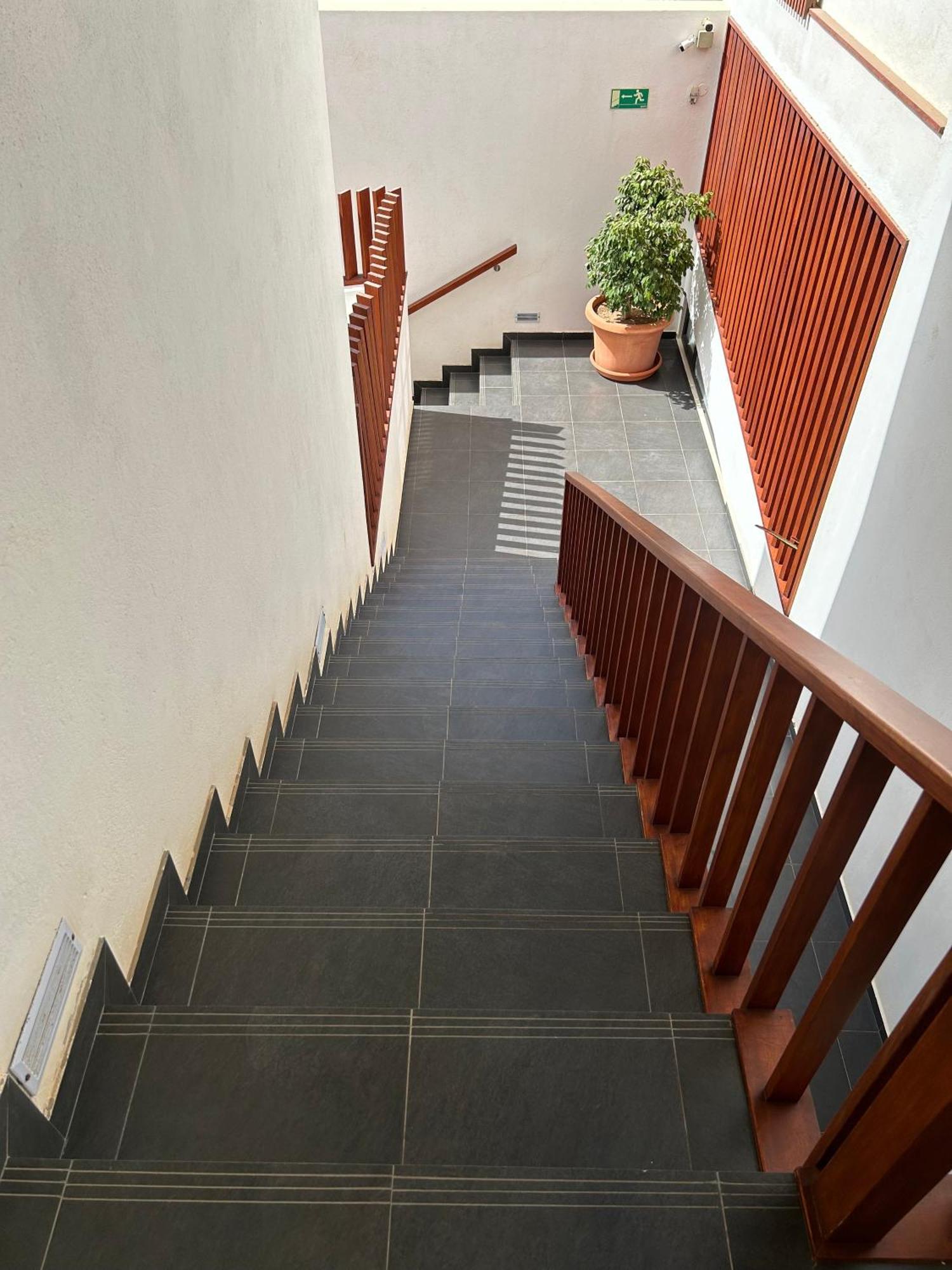 סנטה מריה Papaya Apartments Sal Island מראה חיצוני תמונה