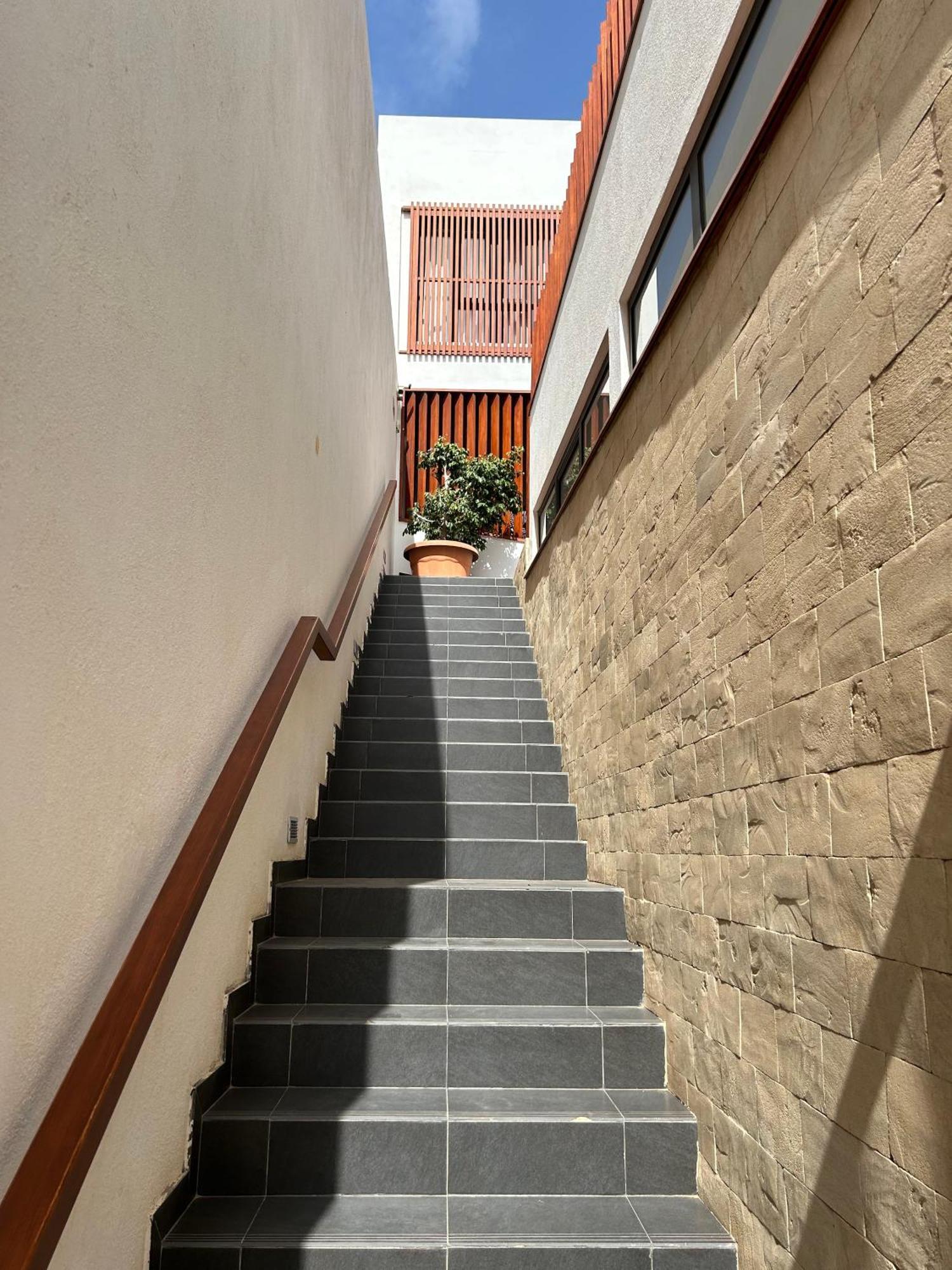 סנטה מריה Papaya Apartments Sal Island מראה חיצוני תמונה